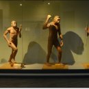 계룡산자연사박물관 이미지