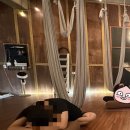 시흥 | 플라잉요가 MJ studio｜시흥 바레·시흥 바레 플라잉 후기