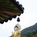 속리산 법주사 이미지