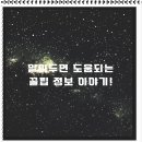 비즈테크온 네이버블로그