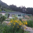 상주민박 이미지