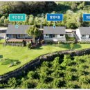 서쪽강생이 이미지