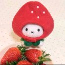 딸기우유 카카오 검색결과