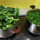 중부야채 이미지