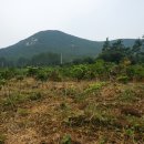 정병석농장 이미지