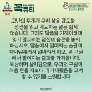 콩깍지 이미지