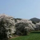 저수지목장 이미지