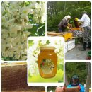 알이랑농장 이미지