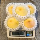 설아농장 | 🍑 산지직송 충남 고당도 설리 설아복숭아