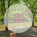 숲 펜션&캠핌장 | 강원도 영월 계곡뷰 자연펜션캠핑장 후기 자연속에서 완벽한 휴식