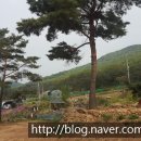 중송농장 이미지