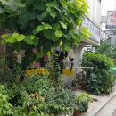 수정세탁소 이미지