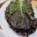 만복기사식당 불백전문 _ 가성비 좋은 망원동 밥집