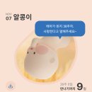 엄마 히드라가 침뱉어 잉 | 출산 일기 : 청화병원 제왕절개 5박 6일 입원(1인실B룸, 이슬비침, 가진통, 갑자기 출산)