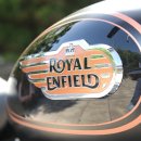 뉴로얄전자 이미지