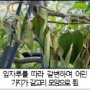 거창위생방역
