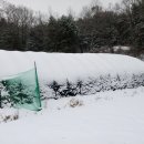 터골농원 이미지