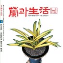 제26회 한국춘란 안동시 난 연합회 가을 엽예품 전시회 | 월간 난과생활 2020년 1월호