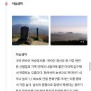 정우관광농원 | 바른투어 홈쇼핑상품-제주도 패키지여행 둘째날관광 후기(카멜리아힐, 석부작테마파크, 요트투어...