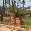전남 장성 신상오픈한 청솔캠핑장 광주근교에서 고기구워먹은 후기