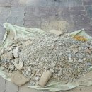 조치원교동초등학교 이미지