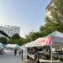 주안역 남광장 | [인천/주안역] 미팅 길에 만난 따뜻한 풍경! 주안역 광장 '상생장터 자선 바자회' 소소한 구경 후기 🌾🍞