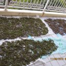 신풍리교차로 2-2 이미지