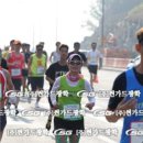 JTBC서울마라톤사진1 -포토스포츠 발췌 이미지