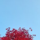 말구리농장 이미지