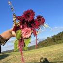 라플레르스튜디오 이미지