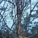 화원마을회관 이미지