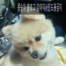 다니엘동물병원 이미지