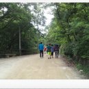 장흥수림원 이미지