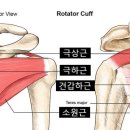 안동현한의원 이미지
