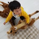 새싹상회 이미지