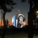 우리농산물 탑마트 | 2024, 11월 / 가을색 풍경