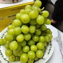 맛나청과 - 목포시 동부로38번길 3 | 맛나청과