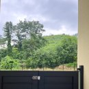 udogpia 유독피아 이미지