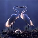 백두산옥사우나 이미지