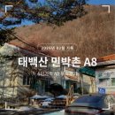 1공단녹지시설 화장실 1 | 태백산 민박촌 5인 가족 숙소 후기 화장실 2개 복층 A08 4만원 환급 꿀팁
