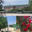 세류초등학교 이미지