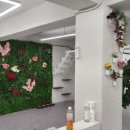 스카이캣명동2호점 이미지