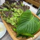 용세프민물나라