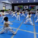 용인대 장안 태권도 이미지