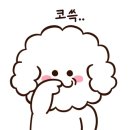 카페누모