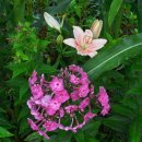 한정리마을회관 이미지