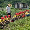 호재농장 이미지