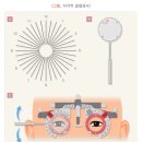 LS안경원 이미지