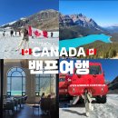 마주디렉티드(플랜마 | 🍁캐나다여행｜캐나다 밴프 록키 투어 3박4일, 록키2일차 (오케이투어, 설상차, 밀플랜)