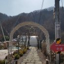 단카페 이미지